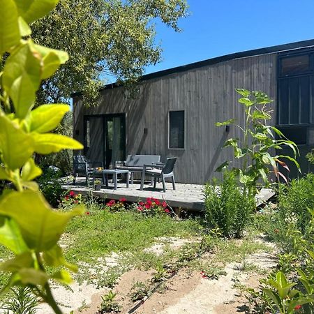Vila Tiny House Framed By Nature Near Sea In Karaburun İzmir Exteriér fotografie